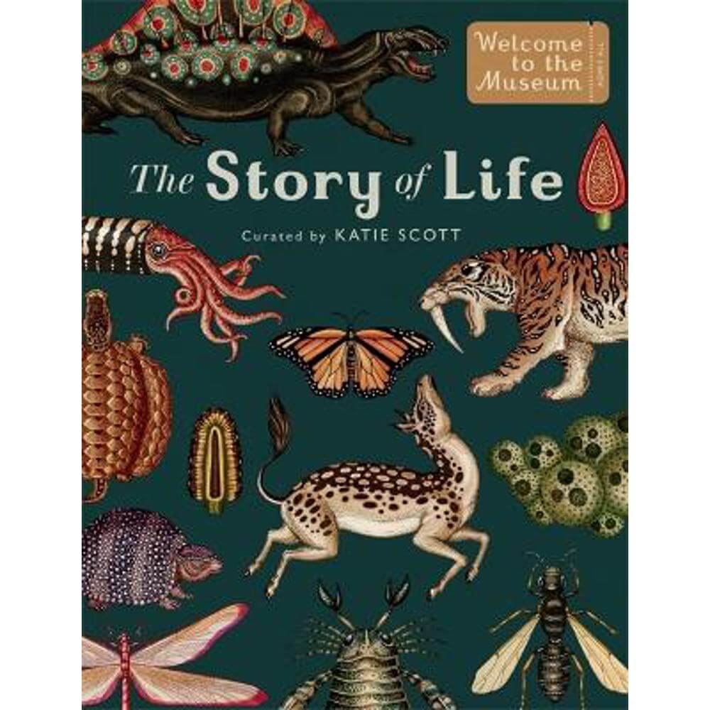 The Story of Life: Evolution (Extended Edition) (Hardback) - Katie Scott